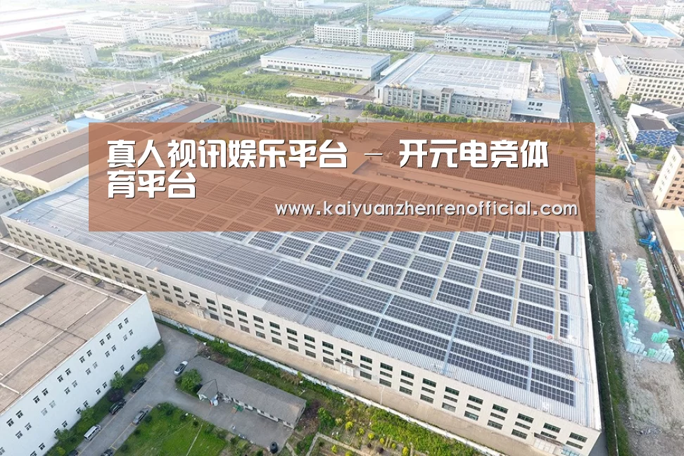 案例展示一