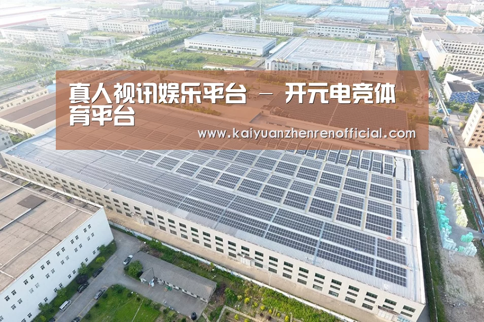 案例展示三