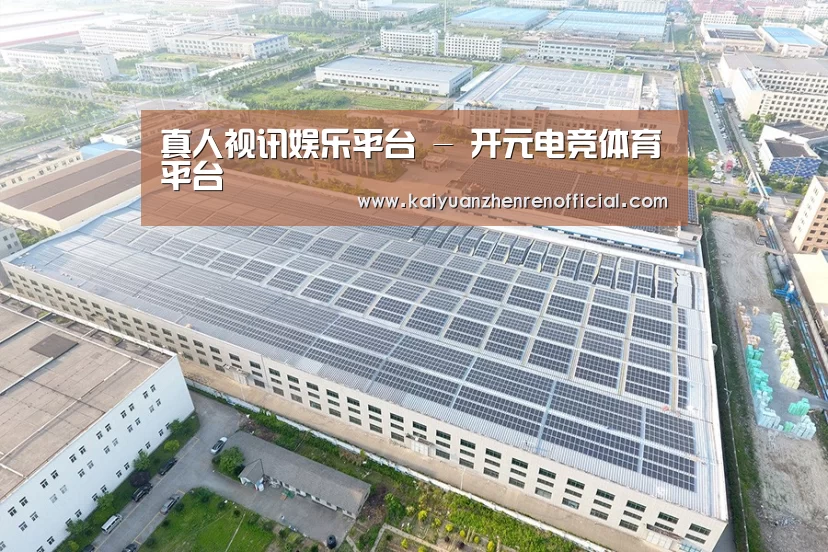 案例展示四