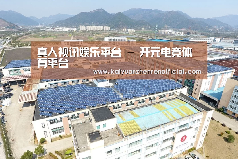 案例展示三