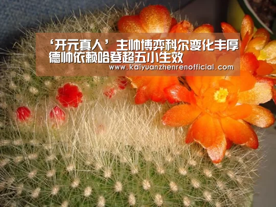 开元体育